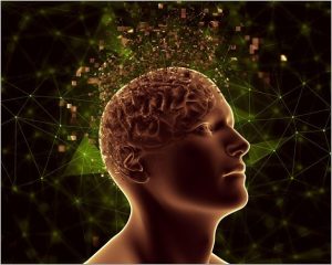 Principles of Neuroplasticity